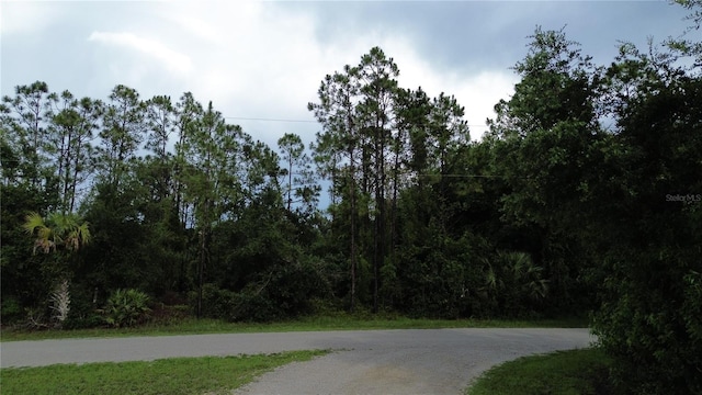 12198 Del Rio Dr, Punta Gorda, FL 33955 - photo 1