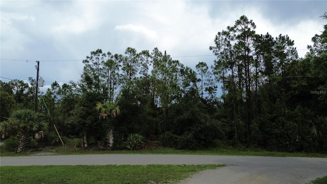 12198 Del Rio Dr, Punta Gorda, FL 33955 - photo 2