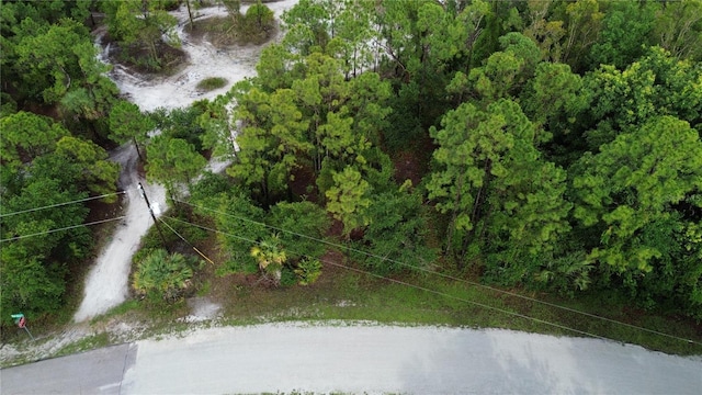 12198 Del Rio Dr, Punta Gorda, FL 33955 - photo 4