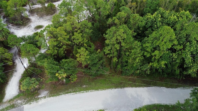 12198 Del Rio Dr, Punta Gorda, FL 33955 - photo 6