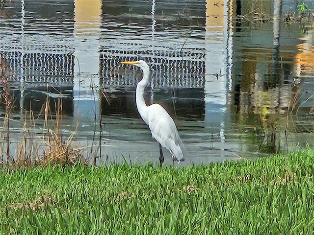 2140 Heron Lake Dr Unit 202, Punta Gorda, FL 33983 - photo 41