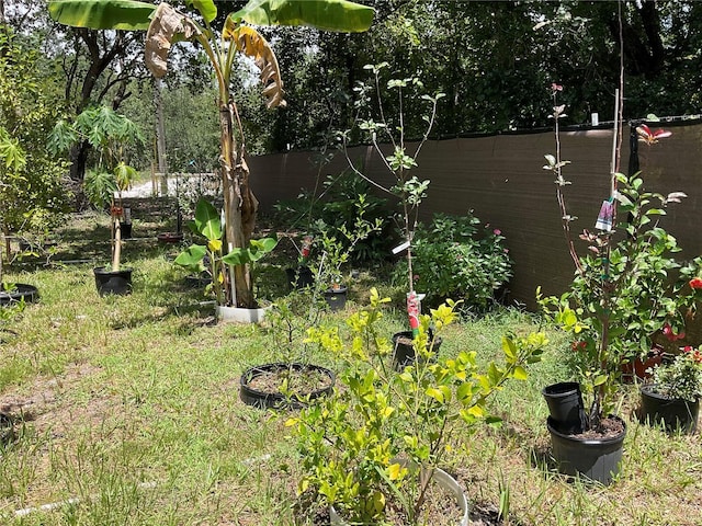 907 Larkspur St, Lake Placid, FL 33852 - photo 21