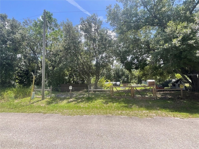 907 Larkspur St, Lake Placid, FL 33852 - photo 24
