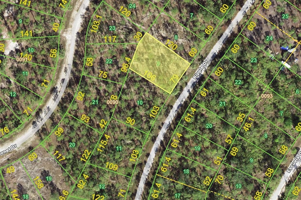 12225 Ripple Dr, Punta Gorda, FL 33955 - photo 1