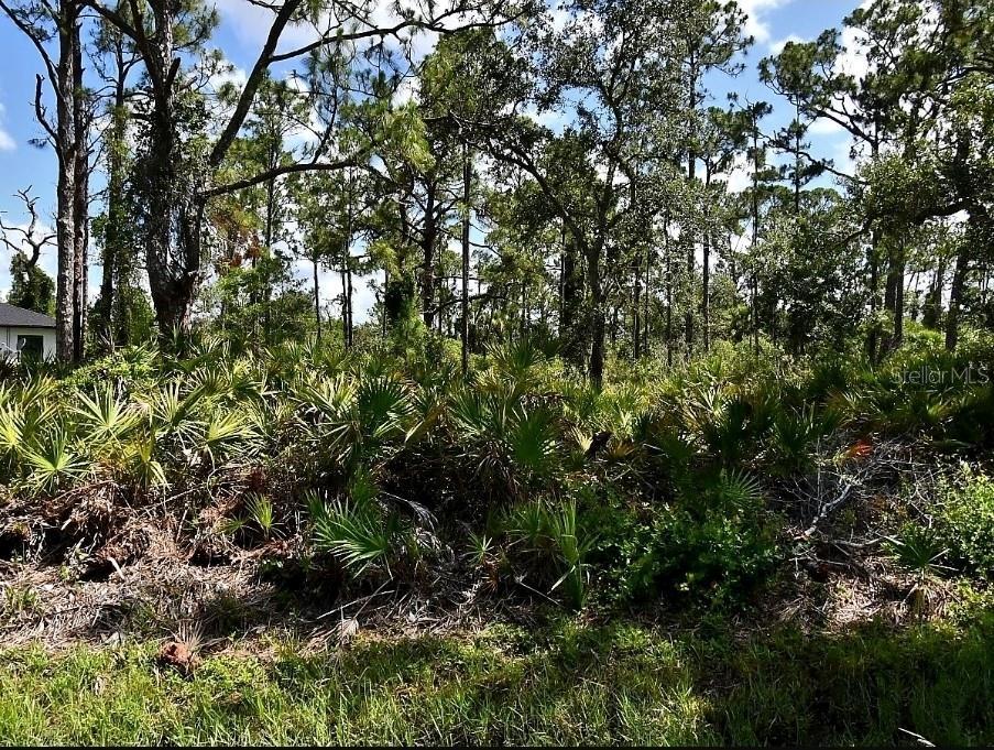 Vespucius St, North Port, FL 34287 - photo 1