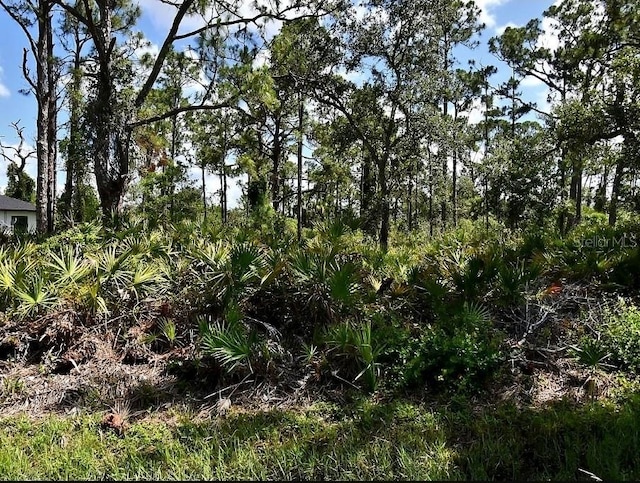 Vespucius St, North Port, FL 34287 - photo 1