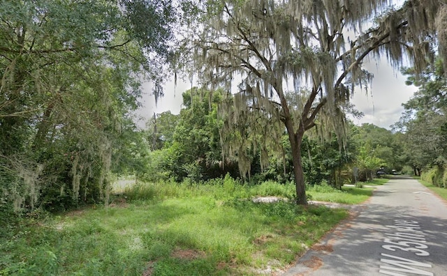 907 NW 35th Ave, Gainesville, FL 32609 - photo 2