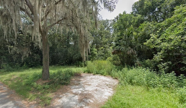 907 NW 35th Ave, Gainesville, FL 32609 - photo 3