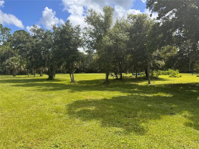 Imbe St, North Port, FL 34286 - photo 5