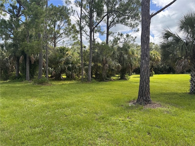 Imbe St, North Port, FL 34286 - photo 7