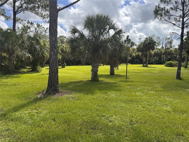 Imbe St, North Port, FL 34286 - photo 8