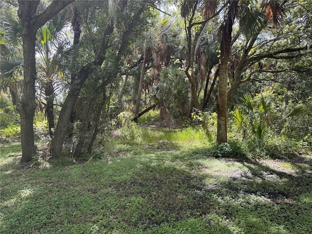 Imbe St, North Port, FL 34286 - photo 15