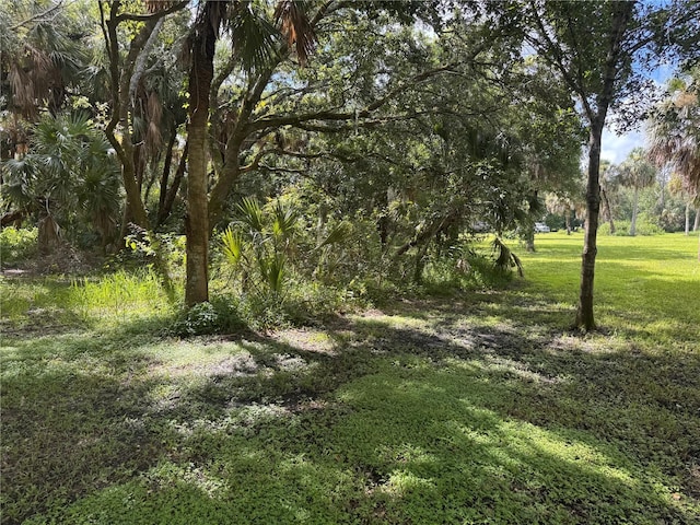 Imbe St, North Port, FL 34286 - photo 16