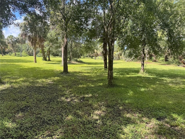 Imbe St, North Port, FL 34286 - photo 17