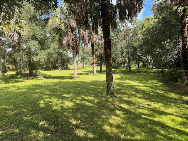 Imbe St, North Port, FL 34286 - photo 22