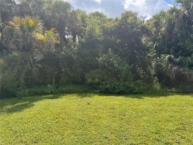 Imbe St, North Port, FL 34286 - photo 24