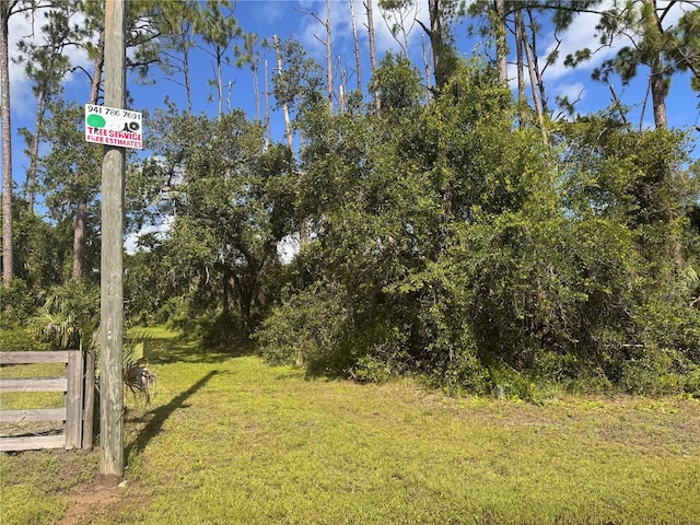 Imbe St, North Port, FL 34286 - photo 32