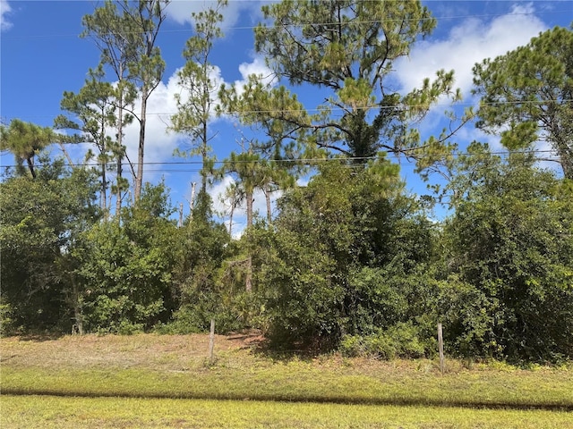 Imbe St, North Port, FL 34286 - photo 34