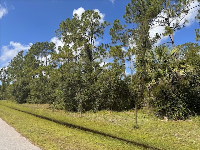 Imbe St, North Port, FL 34286 - photo 35