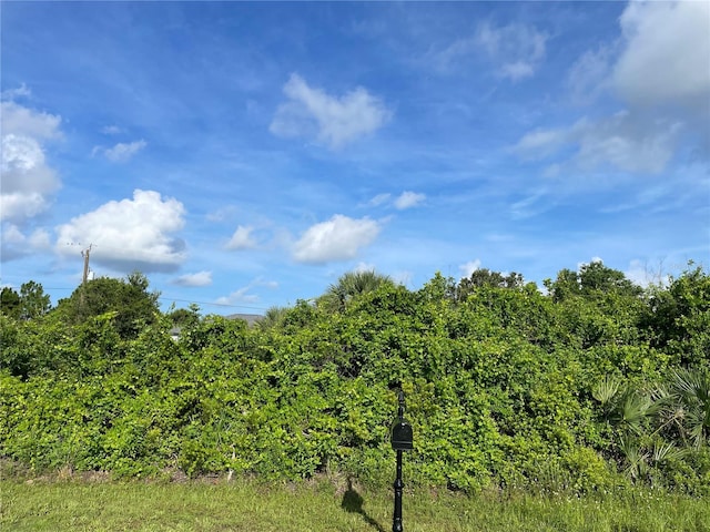 7025 Lauretta St, Englewood, FL 34224 - photo 2