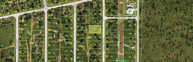 4363 Schneider St, Port Charlotte, FL 33981 - photo 2
