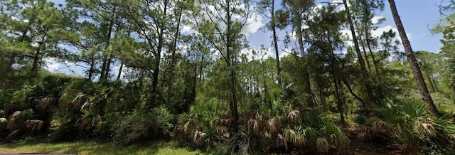 Jericho Ave, North Port, FL 34288 - photo 4