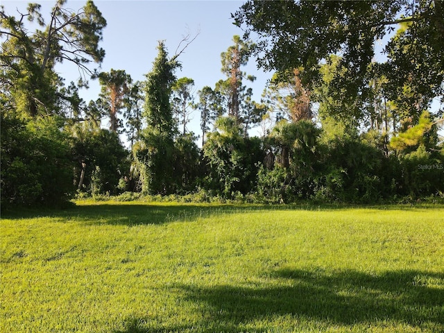 2278 Mulberry Ln, North Port, FL 34289 - photo 31