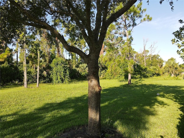 2278 Mulberry Ln, North Port, FL 34289 - photo 32