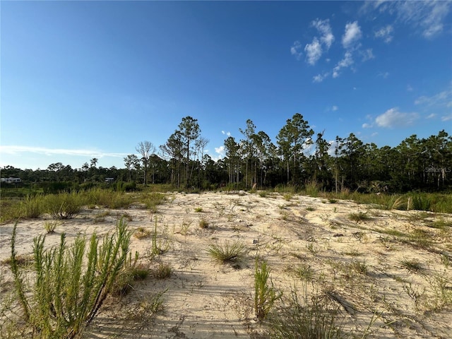 7257 Sweden Blvd, Punta Gorda, FL 33982 - photo 2