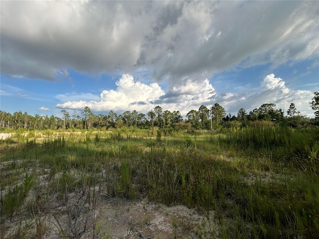 7257 Sweden Blvd, Punta Gorda, FL 33982 - photo 5
