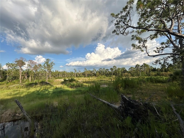 7257 Sweden Blvd, Punta Gorda, FL 33982 - photo 6
