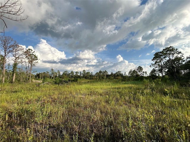 7257 Sweden Blvd, Punta Gorda, FL 33982 - photo 8