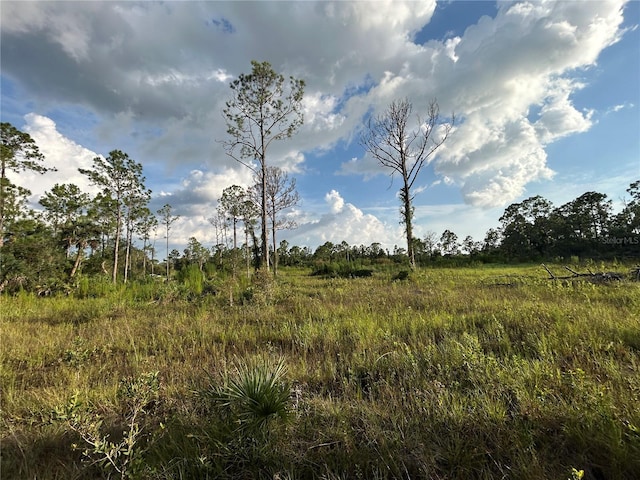 7257 Sweden Blvd, Punta Gorda, FL 33982 - photo 9