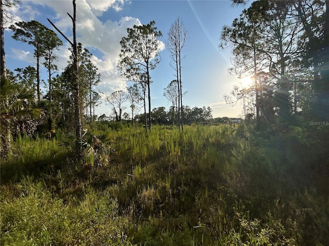 7257 Sweden Blvd, Punta Gorda, FL 33982 - photo 10