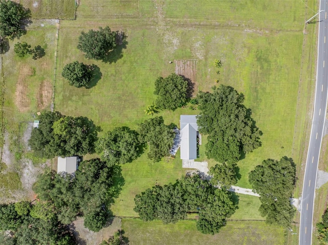 1133 Crescent Ave, Labelle, FL 33935 - photo 14