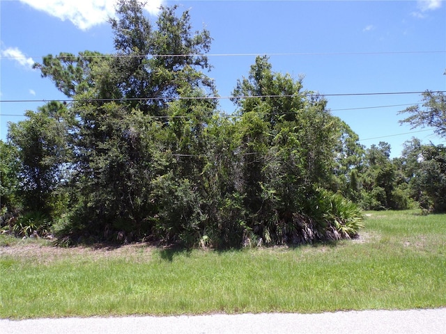 160 Baytree Dr, Rotonda West, FL 33947 - photo 2