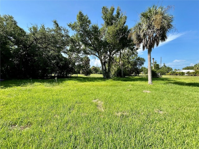 143 Date St, Punta Gorda, FL 33980 - photo 9