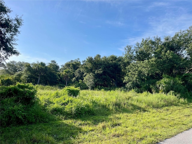196 Grandmont St, Port Charlotte, FL 33954 - photo 4