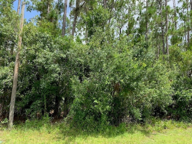 Joe Jeff St, North Port, FL 34286 - photo 2