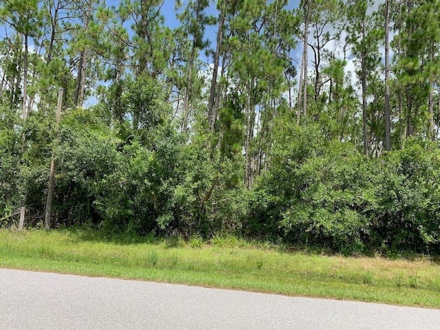Joe Jeff St, North Port, FL 34286 - photo 3