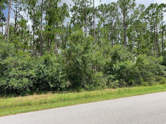Joe Jeff St, North Port, FL 34286 - photo 4