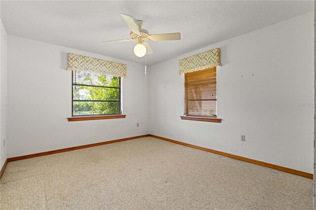12313 SW Kingsway Cir, Lake Suzy, FL 34269 - photo 53