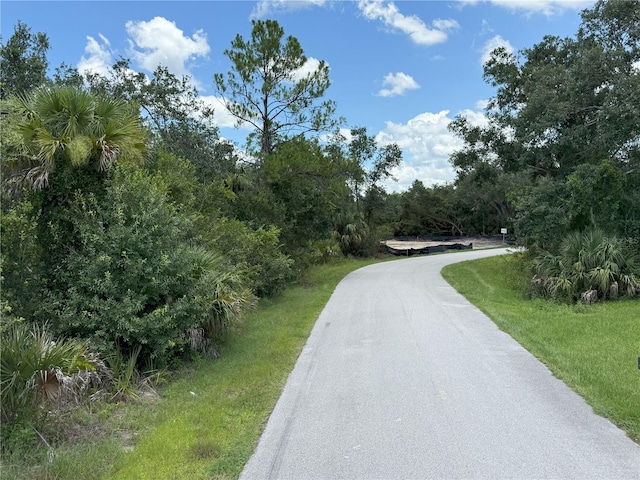 4429 Acosta Ave, North Port, FL 34288 - photo 28