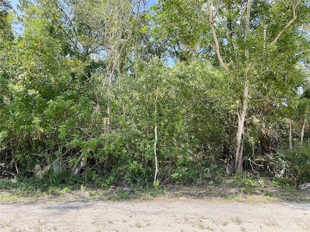 27285 Plumosa Dr, Punta Gorda, FL 33955 - photo 2