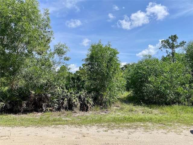 27285 Plumosa Dr, Punta Gorda, FL 33955 - photo 4