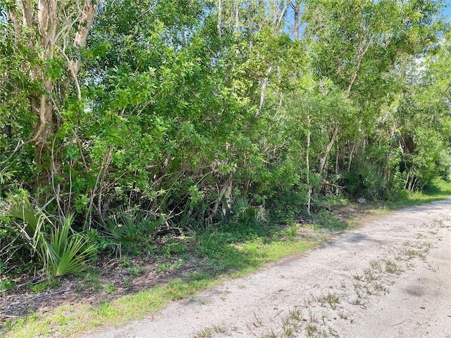 27285 Plumosa Dr, Punta Gorda, FL 33955 - photo 6