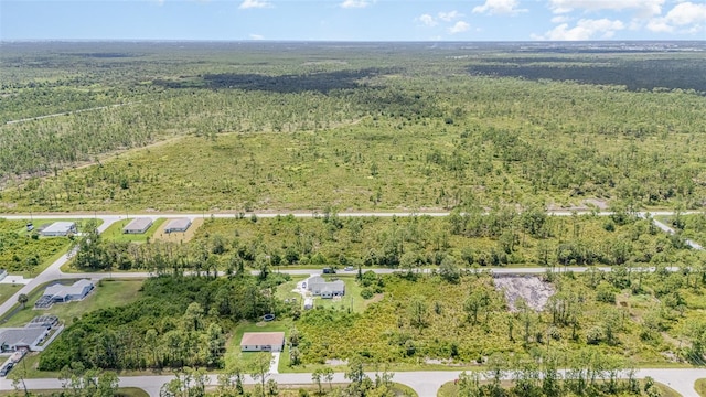 3295 Sorrel St, Port Charlotte, FL 33981 - photo 3