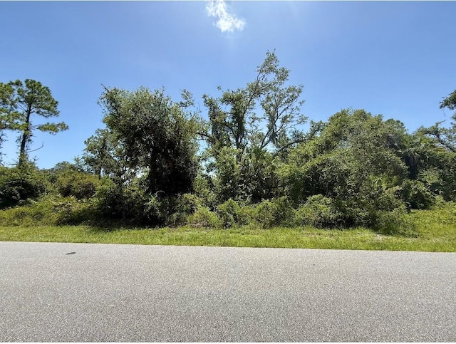 940 Bowman Ter, Port Charlotte, FL 33953 - photo 2