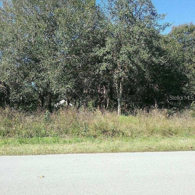1197 Eppinger Dr, Port Charlotte, FL 33953 - photo 5