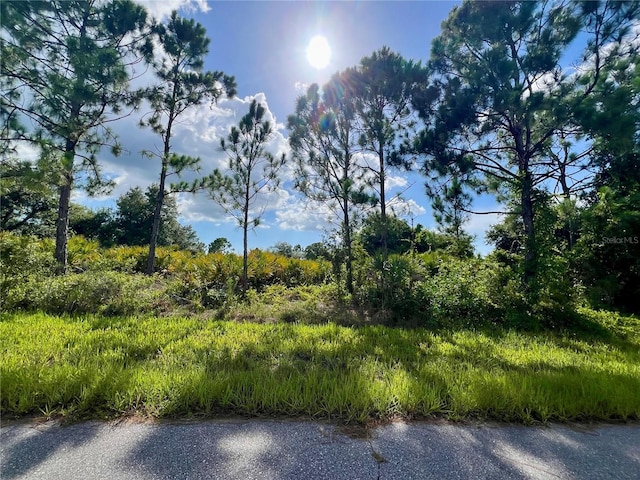 2333 Kuehler St, Port Charlotte, FL 33953 - photo 1